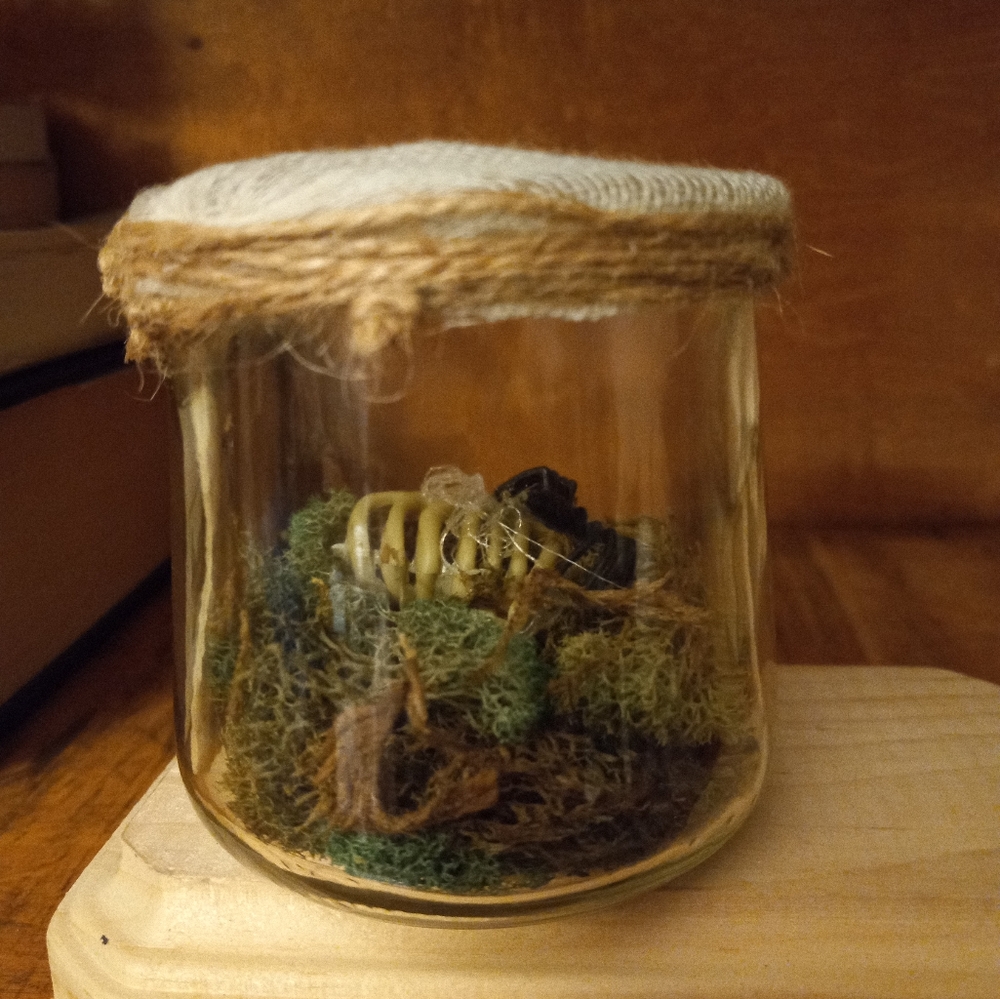 Skeletal specimen jars, set of 3, handmade - Picture 4 of 16